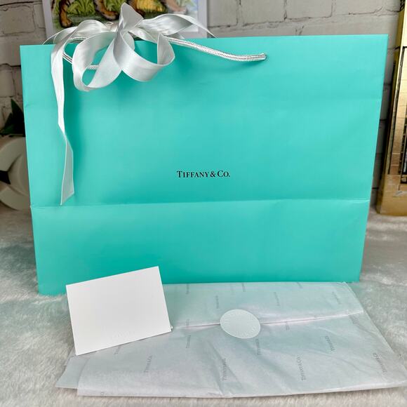 Tiffany & Co Shopping Bag Packaging Gift Set NICE LARGE SIZE - Picture 1 of 10